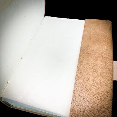 オラクル・レコード